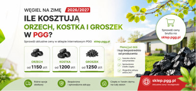 Węgiel na zimę 2026/2027. Ile kosztują orzech, kostka i groszek w PGG?